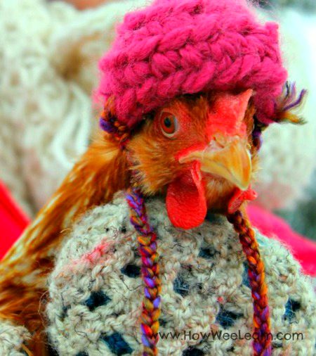 Beautiful Nature image