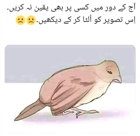 Funny joke