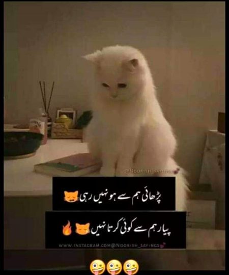 Jokes image