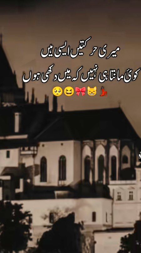 Memes & Satire image