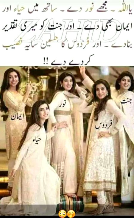 Memes & Satire image