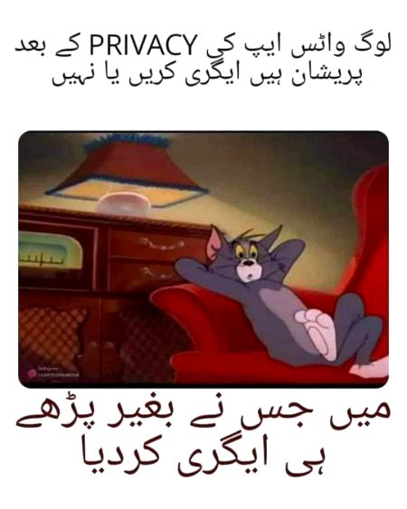 Memes & Satire image