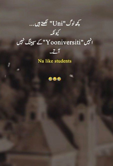 Memes & Satire image