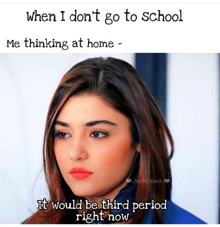 Memes & Satire image