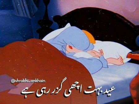 Memes & Satire image