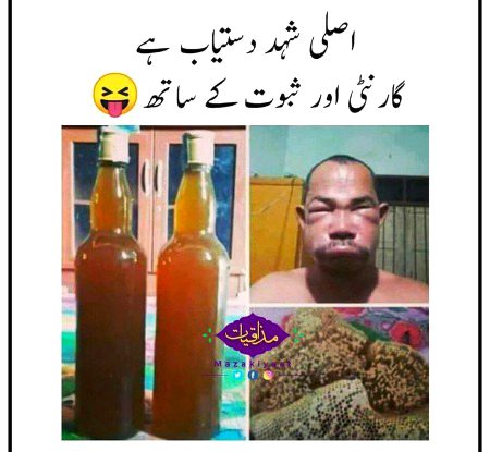 Memes & Satire image