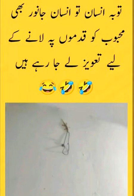 Funny joke