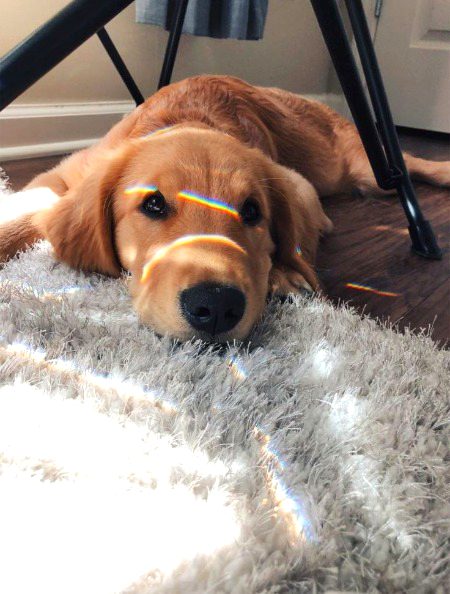 Beautiful Nature image