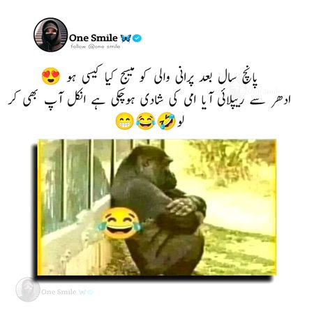 Memes & Satire image
