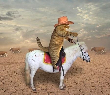 Digital Art image