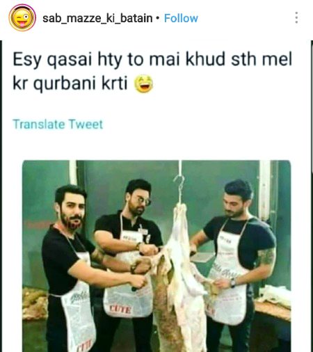 Memes & Satire image
