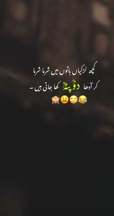 Memes & Satire image