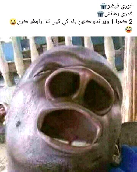 Funny joke