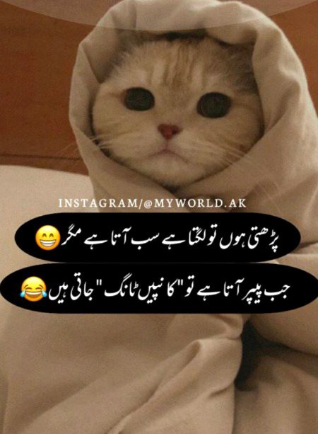Jokes image