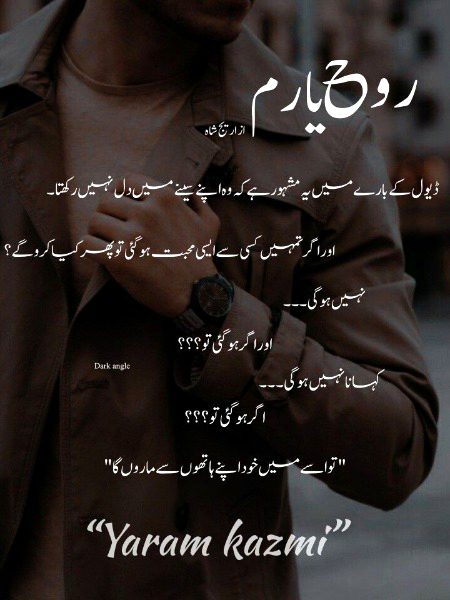 Romantic Novels image