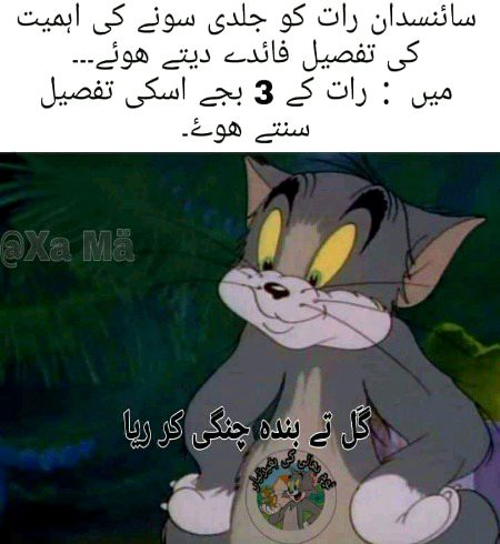 Memes & Satire image