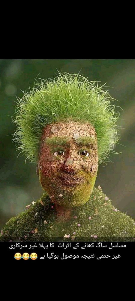 Memes & Satire image