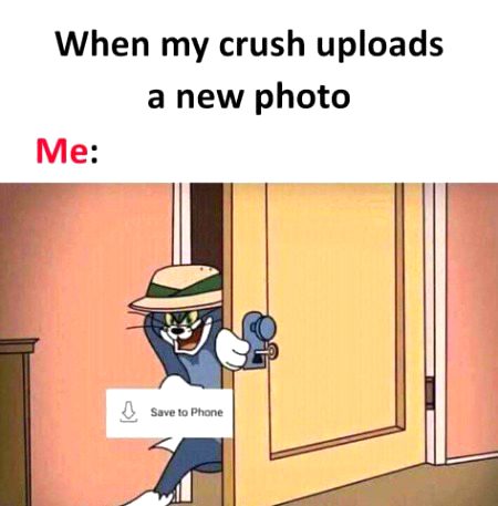 Memes & Satire image