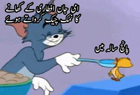 Memes & Satire image