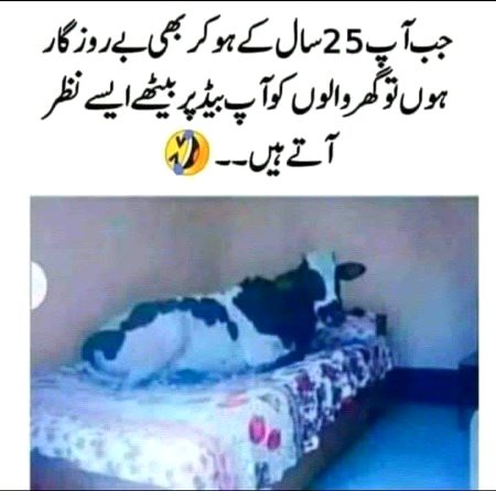 Jokes image
