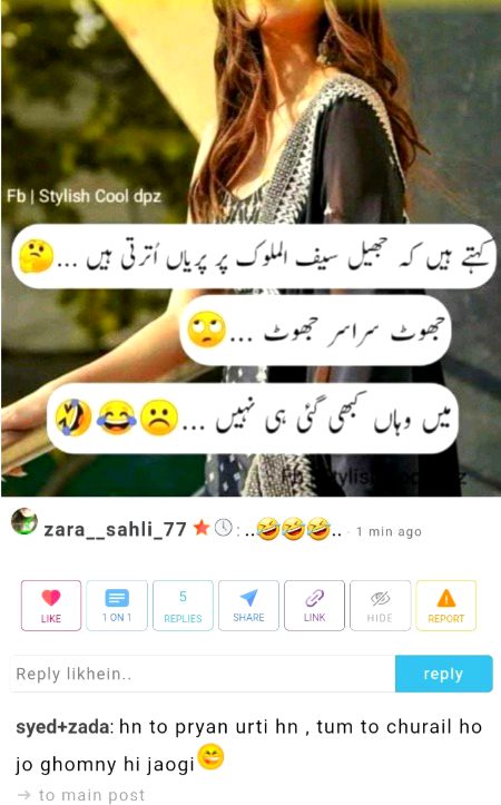 Damadam Roasting image