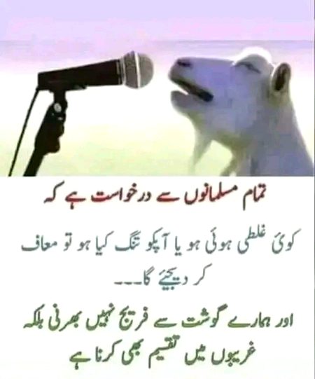 Memes & Satire image