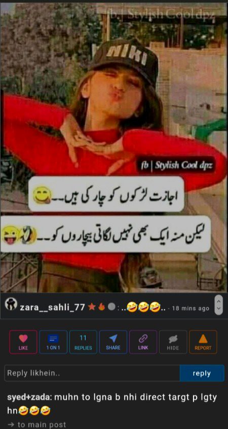Damadam Roasting image