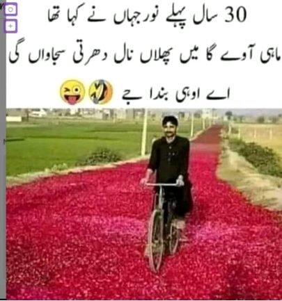 Memes & Satire image