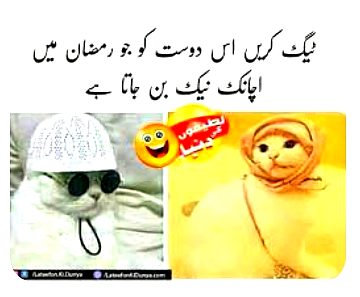 Memes & Satire image