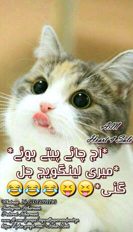 Jokes image