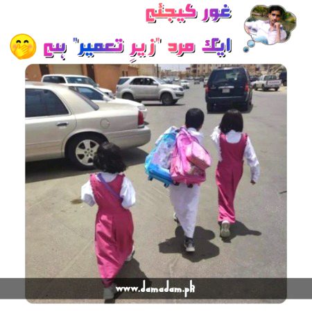 Memes & Satire image