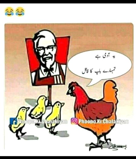 Memes & Satire image