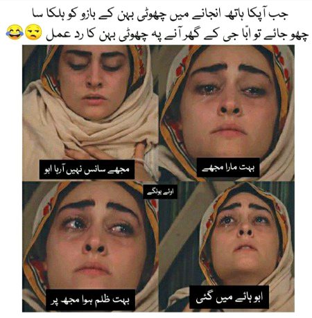 Memes & Satire image