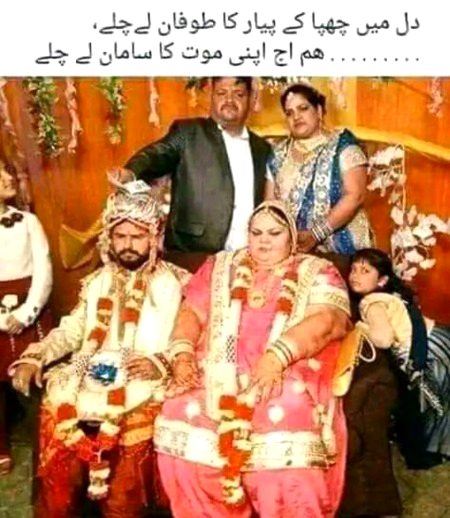 Memes & Satire image