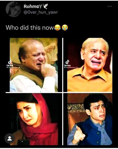 Memes & Satire image