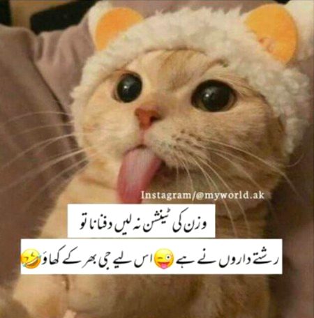 Funny joke