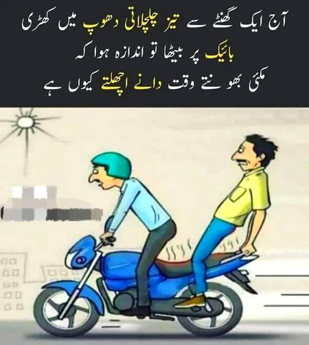 Memes & Satire image