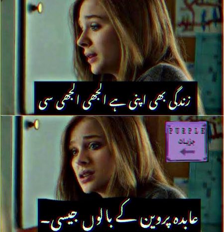 Memes & Satire image