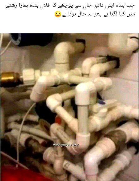 Memes & Satire image