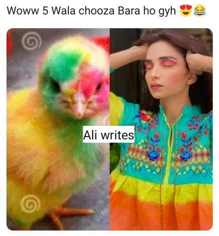 Memes & Satire image