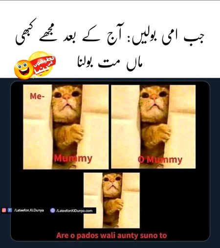 Memes & Satire image