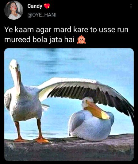 Memes & Satire image