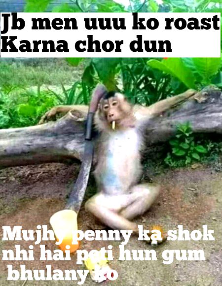 Damadam Roasting image