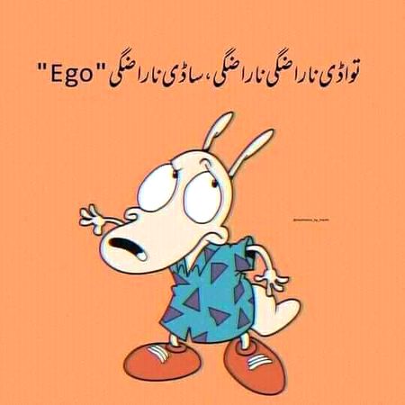 Memes & Satire image
