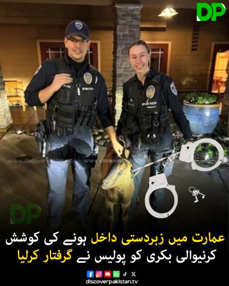 Memes & Satire image