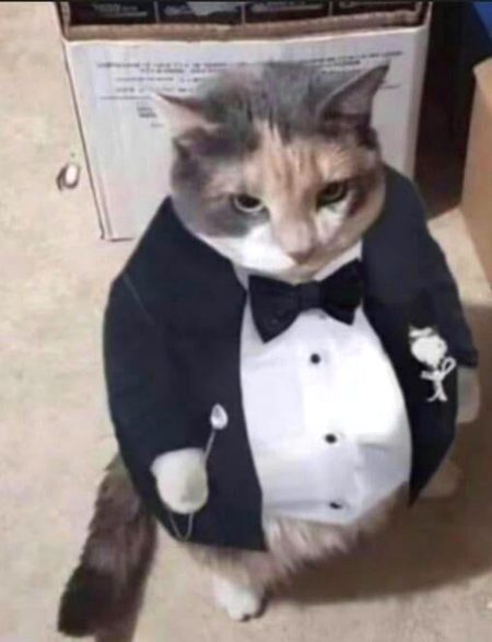 Beautiful Nature image