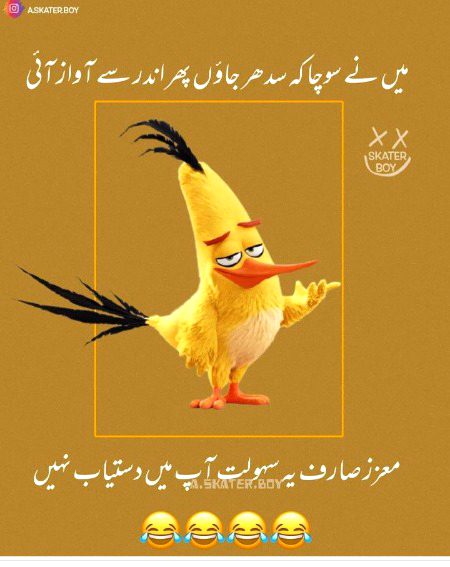 Memes & Satire image