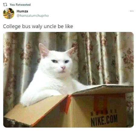 Memes & Satire image