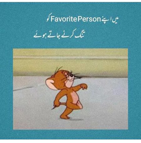 Memes & Satire image