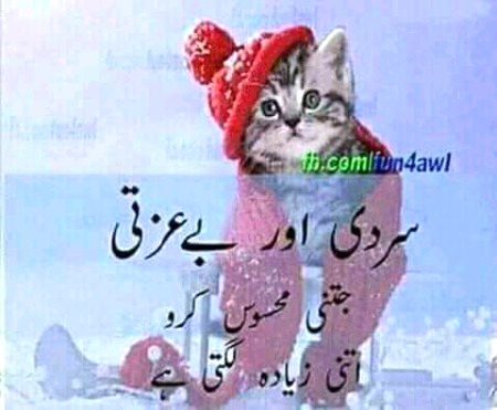 Funny joke